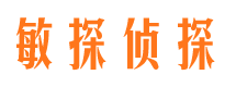 阳东市调查公司